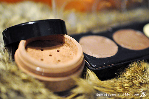 DIY Eyebrow Filler/Fixative