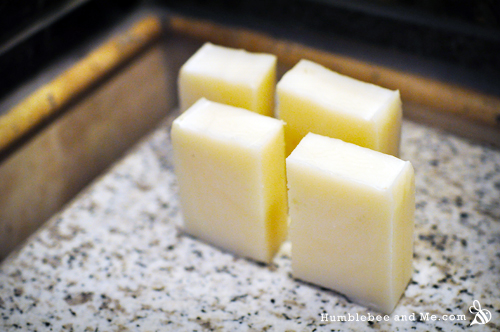 Simple Cleaning Soap