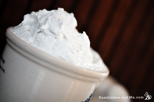 Labdanum & Fir Whipped Soap