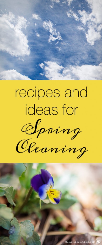 Recipes & Ideas for Spring Cleaning