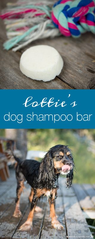 Lottie’s Dog Shampoo Bar