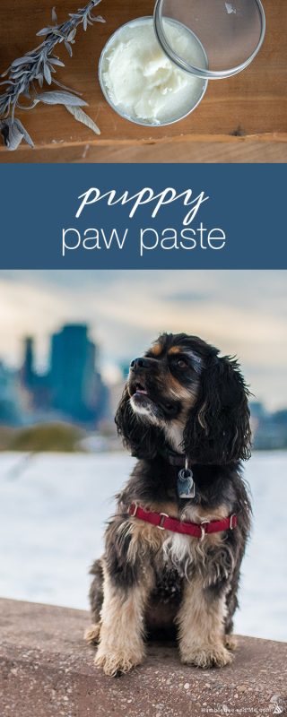 Puppy Paw Paste