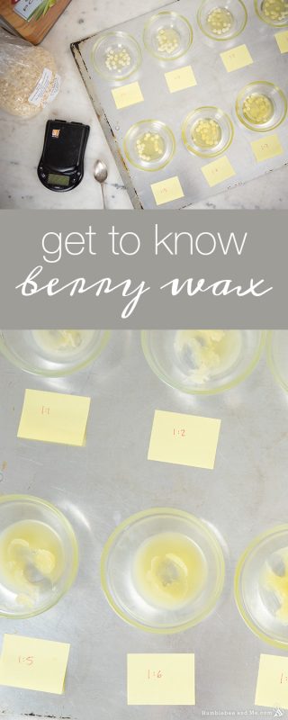 A Quick Guide to Berry Wax and Liquid Oil Ratios