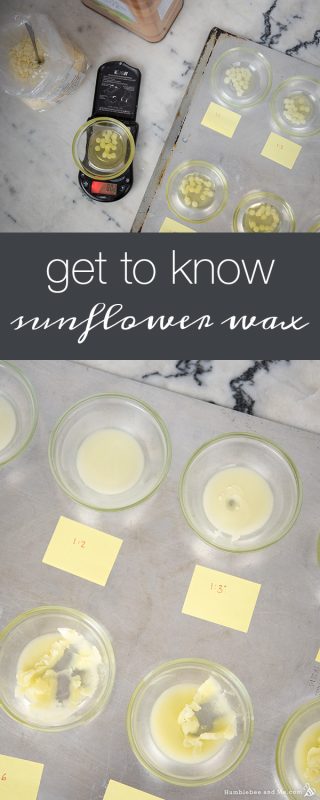 A Quick Guide to Sunflower Wax and Liquid Oil Ratios