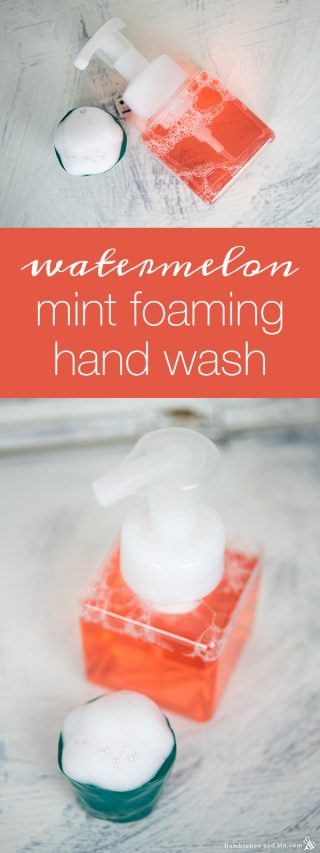 Watermelon Mint Foaming Hand Wash