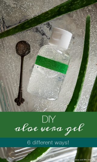 DIY Aloe Vera Gel
