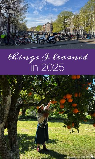 Things I Learned in 2025